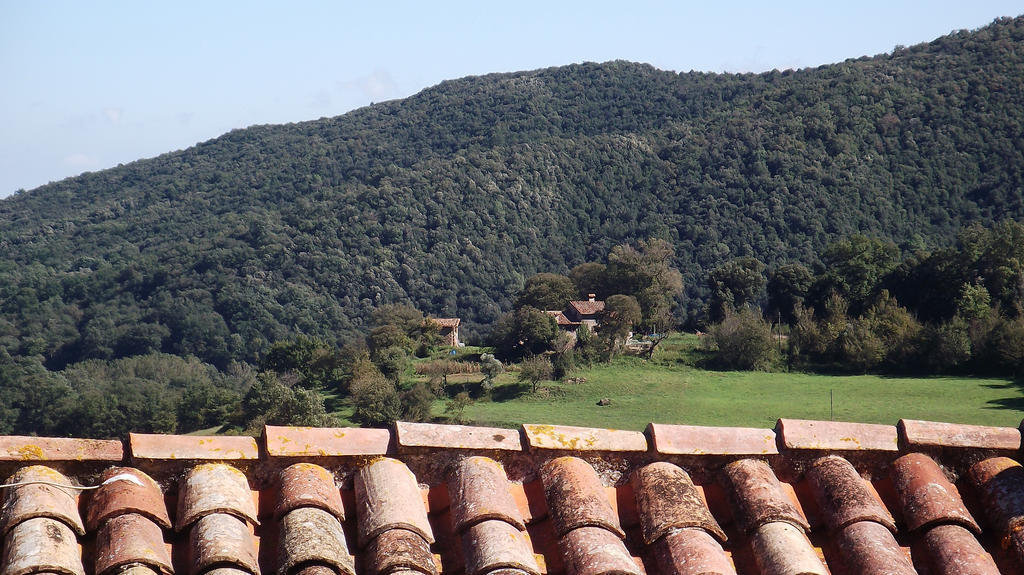 Can Salgueda Santa Pau Habitación foto