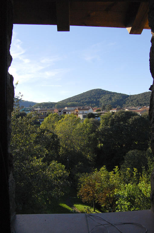 Can Salgueda Santa Pau Habitación foto
