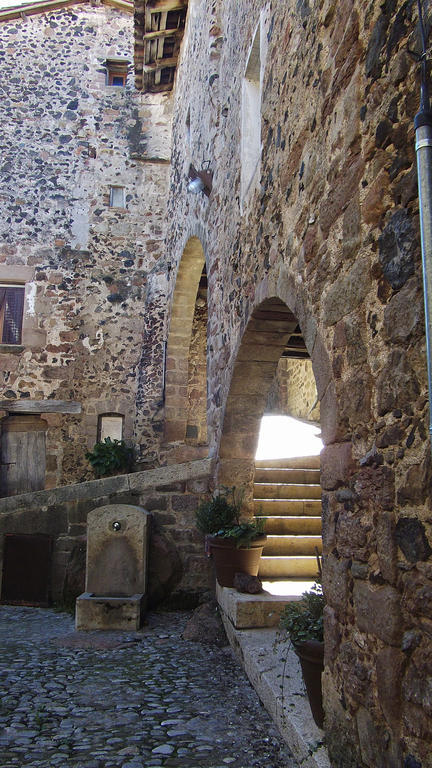 Can Salgueda Santa Pau Habitación foto