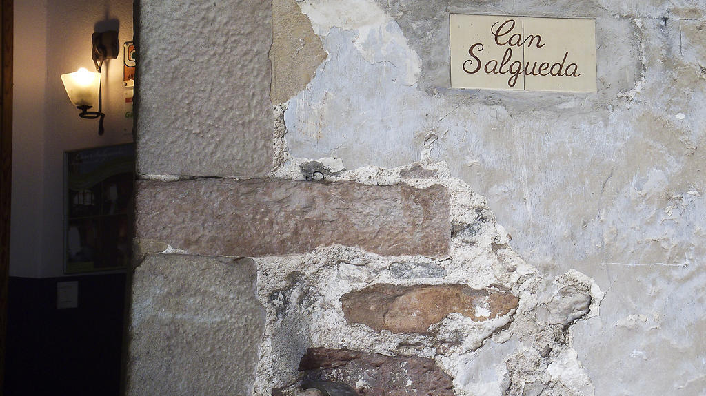 Can Salgueda Santa Pau Habitación foto